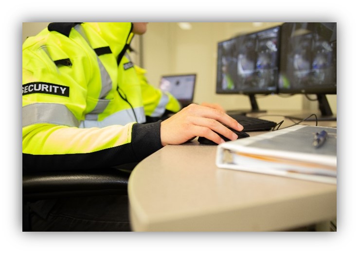 Professional Security Monitoring Is Essential