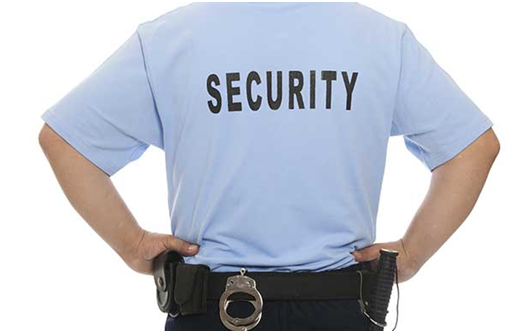 Image for:   Why you might need a second security guard