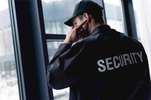 Image for:   How Are Security Guards Trained To Identify Real Threats?