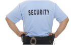 Image for:   Why you might need a second security guard