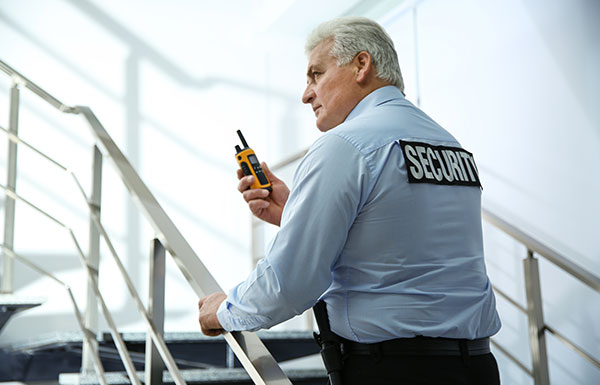 Professional qualities of a security officer